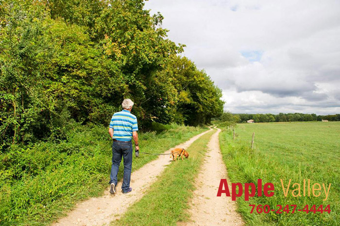 Be Careful Where You Walk Your Dog This Summer