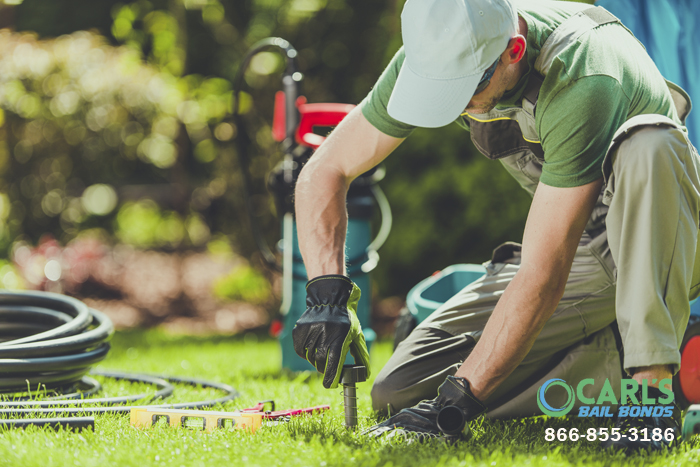 watering-your-california-lawn